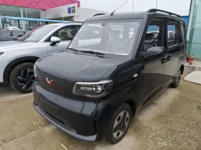 Wuling Motors Wuling Zhiguang NEV 2025