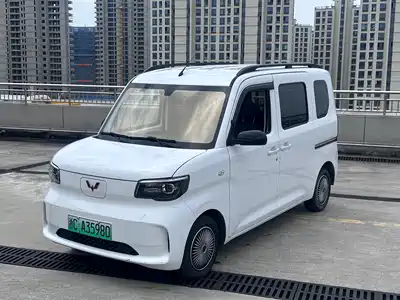 Wuling Motors Zhiguang NEV 2025