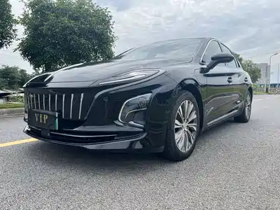Hongqi E-QM5 2023