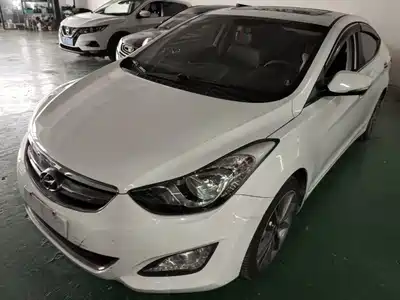 Hyundai Langdong 2014