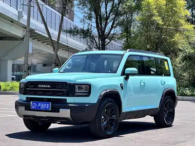 Haval Meng Long NEV 2025