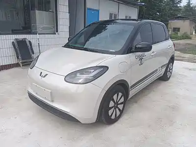 Wuling Motors Bingo 2024