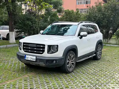 Haval Big Dog 2020