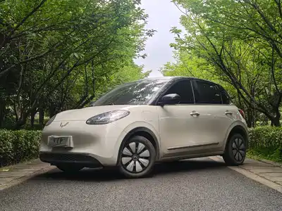 Wuling Motors Bingo 2024