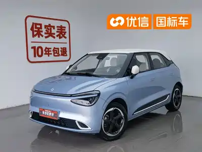 Dongfeng Yipai Nano 01 2024