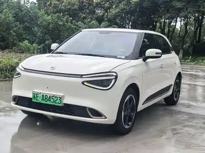 Dongfeng Yipai Nano 01 2024