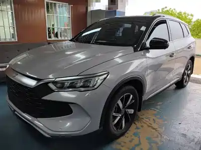 BYD Song Pro New Energy 2024