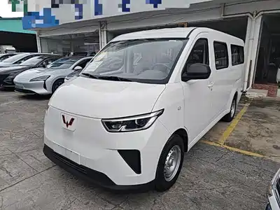Wuling Motors Wuling Yangguang 2025