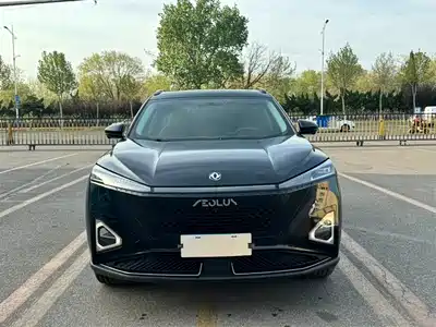Dongfeng Aeolus Haohan 2024
