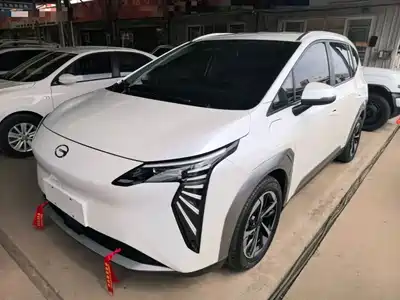Aion Y 2024