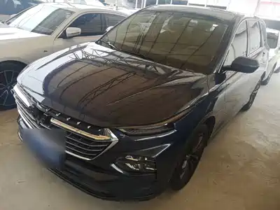 Wuling Motors Wuling Victory 2020