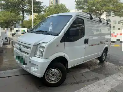 Ruichi Ruichi New Energy EC35 2022