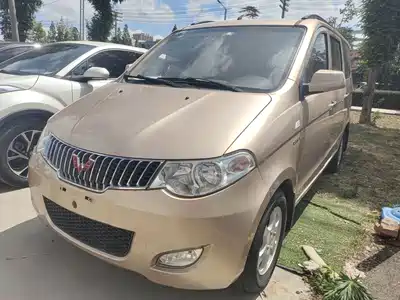Wuling Motors Hongguang 2014