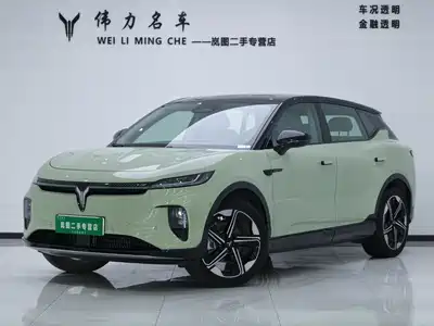 Voyah Auto Voyah Zhiyin 2024