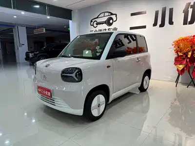 Zhido Rainbow 2024