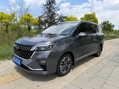 Wuling Motors Jiachen 2022