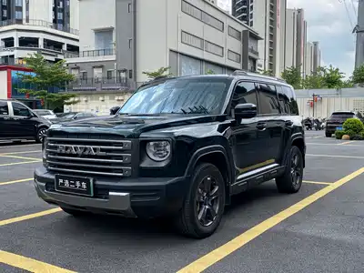 Haval Meng Long NEV 2023