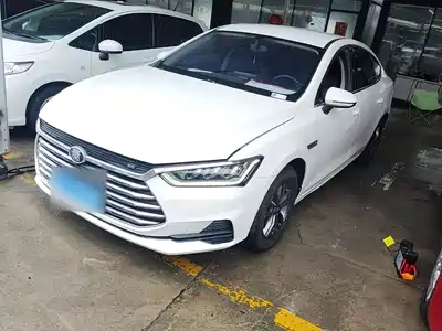 BYD Qin Pro 2020