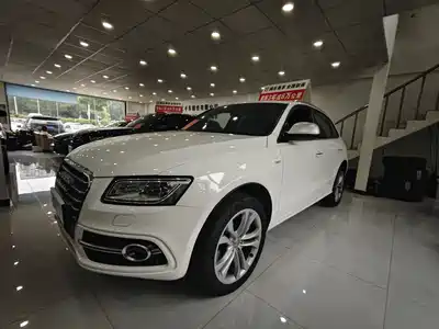 Audi Audi SQ5 2013