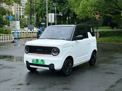 Geely Galaxy Panda 2024