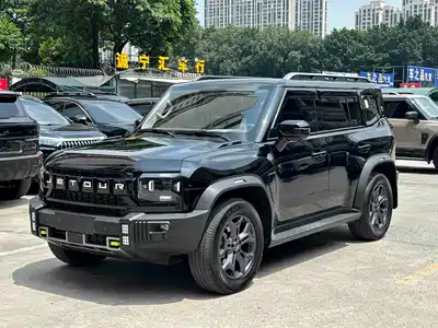 Jetour Shanhai Jetour Shanhai T2 2024