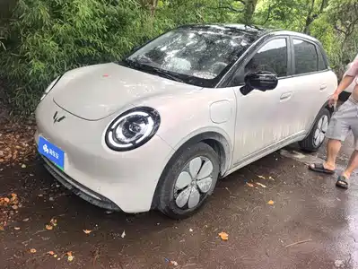 Wuling Motors Binguo Pro 2026