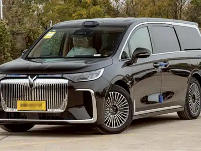 Voyah Auto Dreamer 2024
