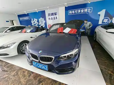 BMW 2 Series (Import) 2017