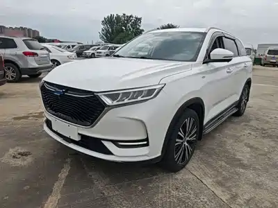 Changan Oshan X7 2020