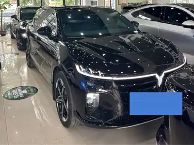 Voyah Auto Voyah Zhiyin 2024