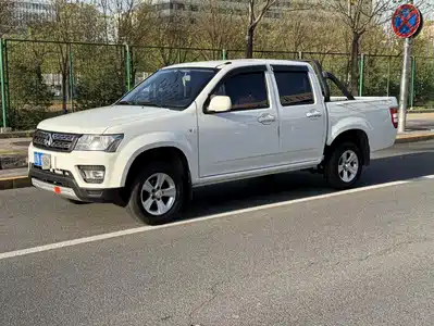 Changan Kaicheng Changan Shenqi F30 2019