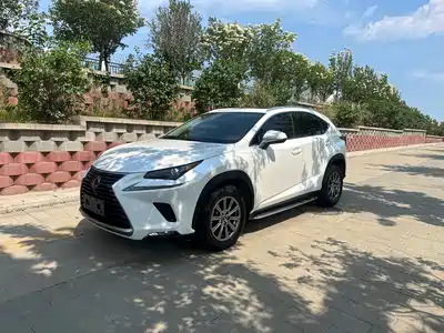 Lexus NX 2021
