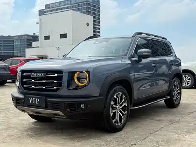 Haval Big Dog 2020