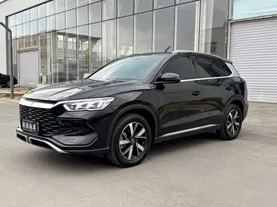 BYD Song Pro New Energy 2024