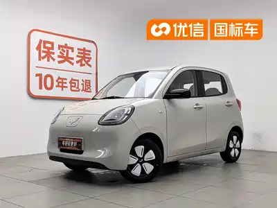 Wuling Motors Hongguang MINIEV 2025