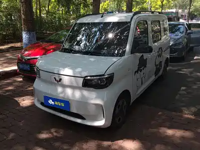 Wuling Motors Zhiguang NEV 2025