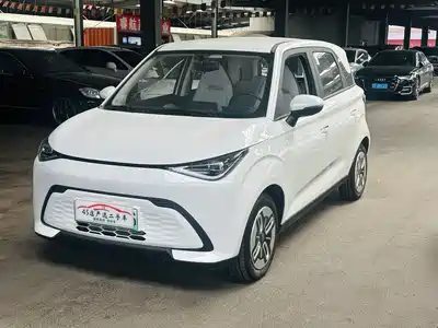 QQ New Energy Duomi 2025