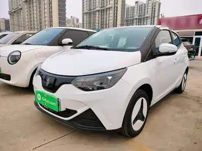 JMCG New Energy Little Kirin 2025