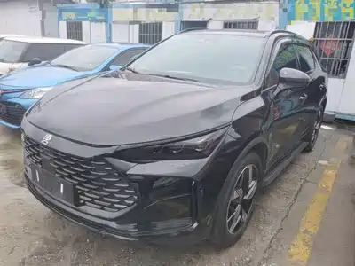 BYD Tang New Energy 2024