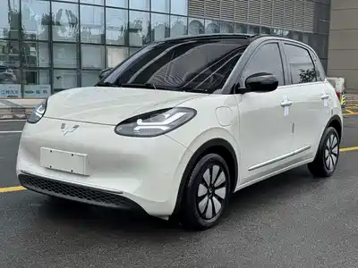 Wuling Motors Bingo 2023