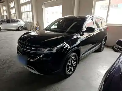 Dongfeng Fengxing Fengxing T5 2021