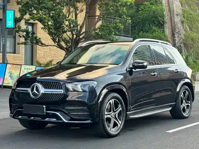 Mercedes-Benz Mercedes-Benz GLE New Energy 2021