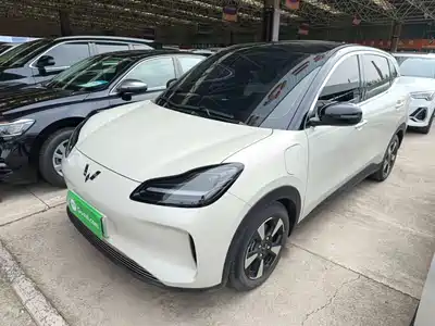 Wuling Motors Wuling Binguo PLUS 2024