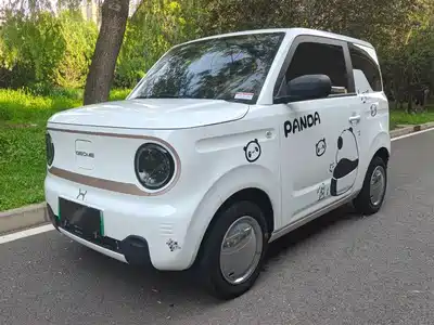 Geely Galaxy Panda 2024
