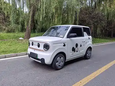 Geely Galaxy Panda 2025