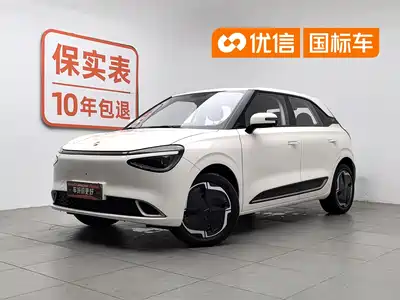 Dongfeng Yipai Nano 01 2024