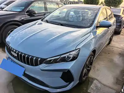 Geely Binrui 2024