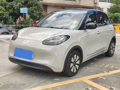 Wuling Motors Bingo 2023