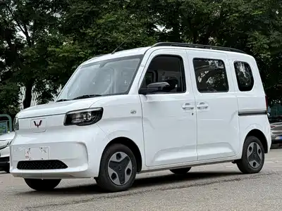 Wuling Motors Zhiguang NEV 2025