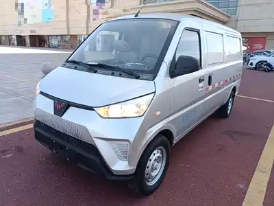 Wuling Motors Wuling EV50 2021